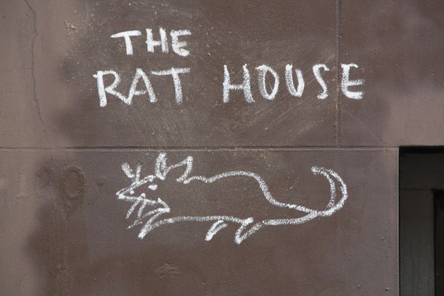 The Rat House